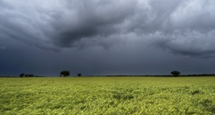 A pesar de la fuerte tormenta el&eacute;ctrica, la lluvia no super&oacute; los 10 mil&iacute;metros