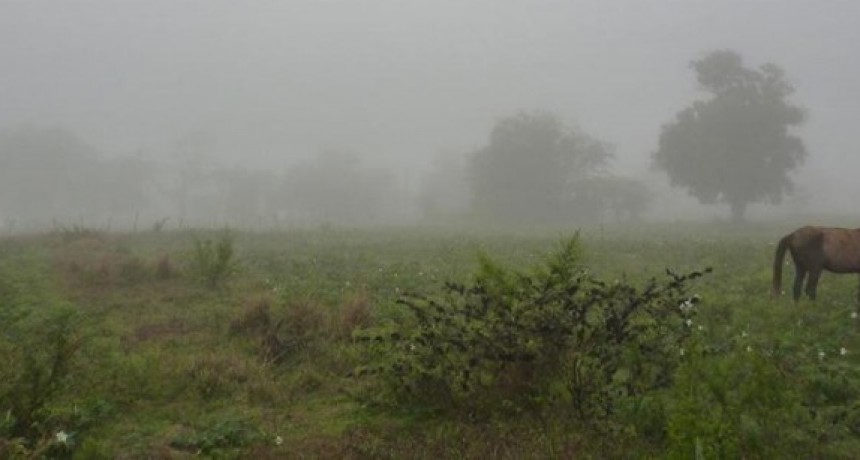 Últimos registros de lluvias: Hasta 120 mm caídos en Bolívar y la zona