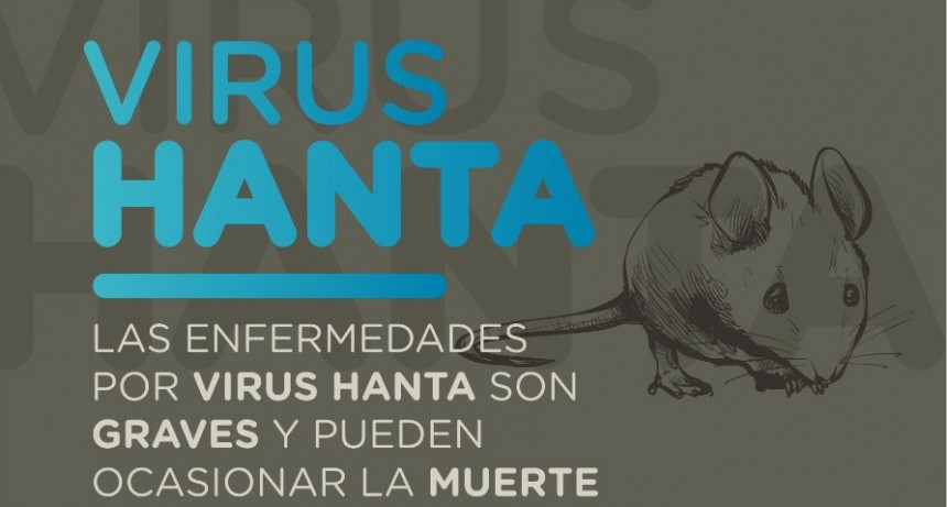 Recomendaciones para prevenir el Hantavirus