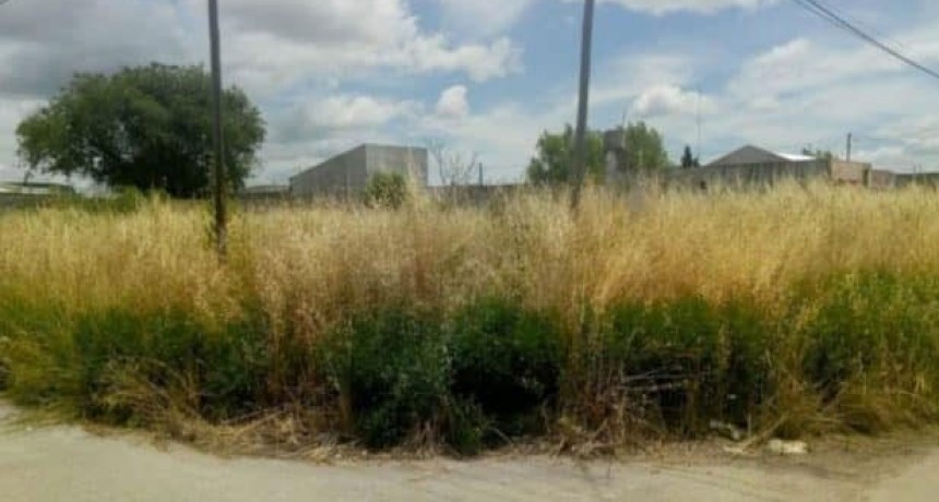Olavarr&iacute;a: multas de m&aacute;s de 80 mil pesos a los propietarios de terrenos con falta de mantenimiento