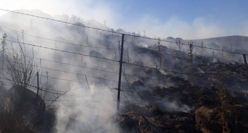 Sierras de Coronel Pringles: M&aacute;s de 10 mil hect&aacute;reas arrasadas por un incendio
