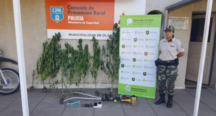 Informe CPR Olavarr&iacute;a sobre investigaciones de Robo a la escuela rural 44