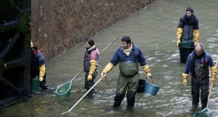 Arroyo Las Flores: Buscaron a un pescador porque tem&iacute;an que se hubiera ahogado, y hab&iacute;a caminado en busca de "buen pique" 