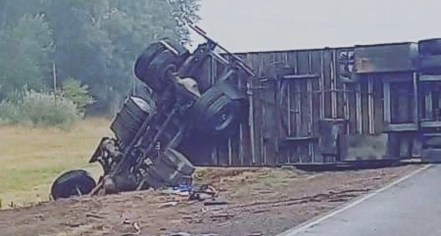 Fatal accidente en ruta 205: un fallecido y tres heridos de gravedad. Habilitan el tránsito 19 horas de este domingo