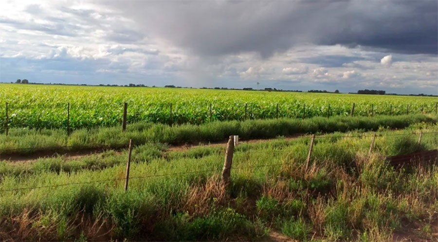La primera lluvia del año 2023