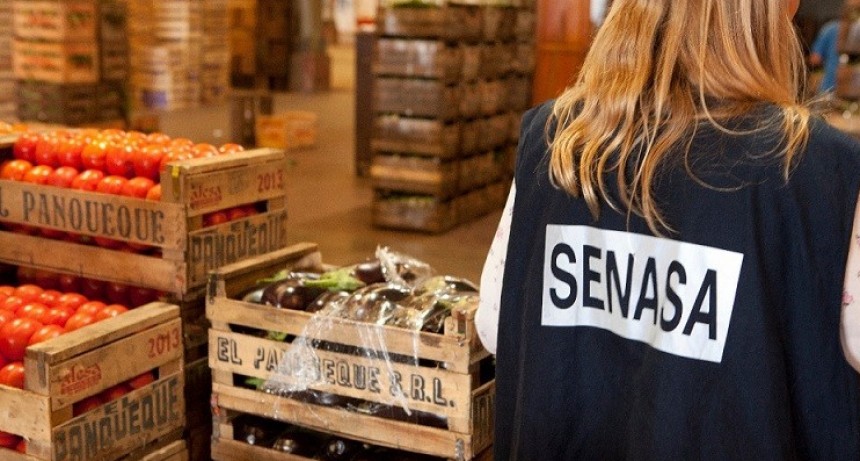 Pautas para la prevención de la salmonelosis y el cuidado de la salud de los consumidores