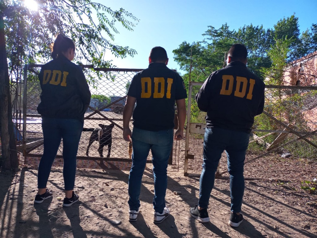 Informe Oficial SUB DDI de Bolívar: Continúan los allanamientos por juego clandestino y apuestas ilegales