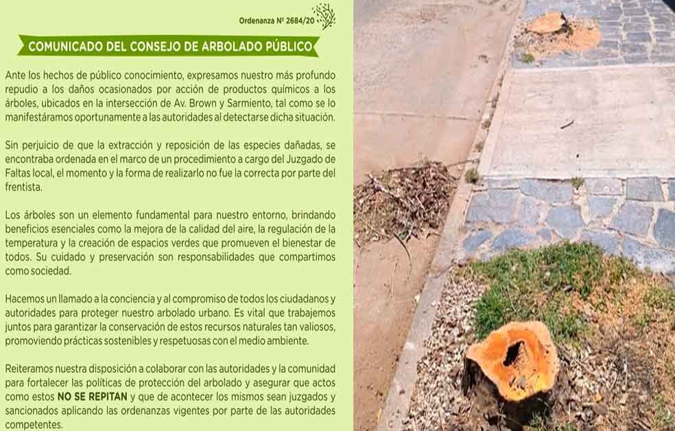 Comunicado del Consejo del Arbolado Público