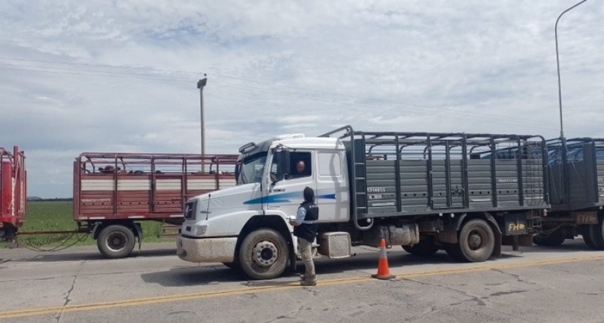 Creció un 170% el control en ruta a transportes de animales vivos y alimentos