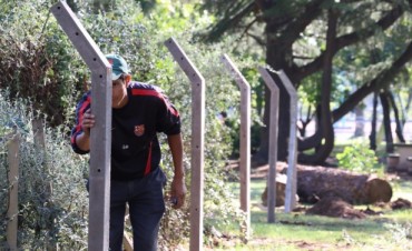 Se está trasladando el vivero municipal a la Dirección Paisajes y Paseos Públicos