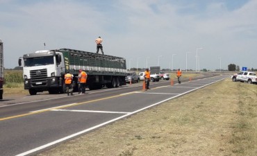 CPR Bol&iacute;var: Infracciones a camiones que transportaban animales vacunos en falta