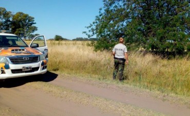 Informe del CPR: Recuperaron una vaquillona en la zona rural