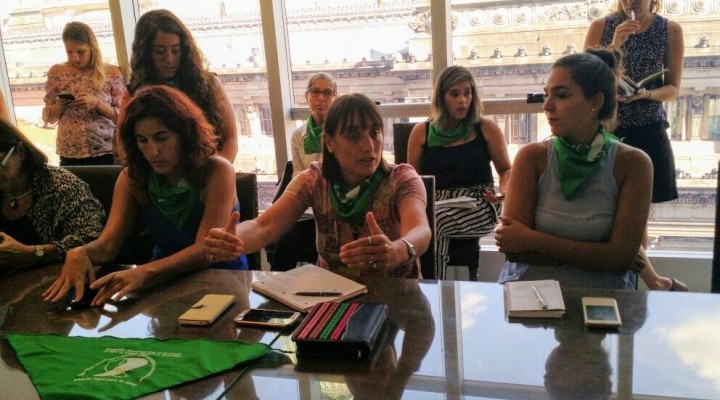 Se prepara una presentaci&oacute;n del proyecto de Ley de aborto en el Congreso