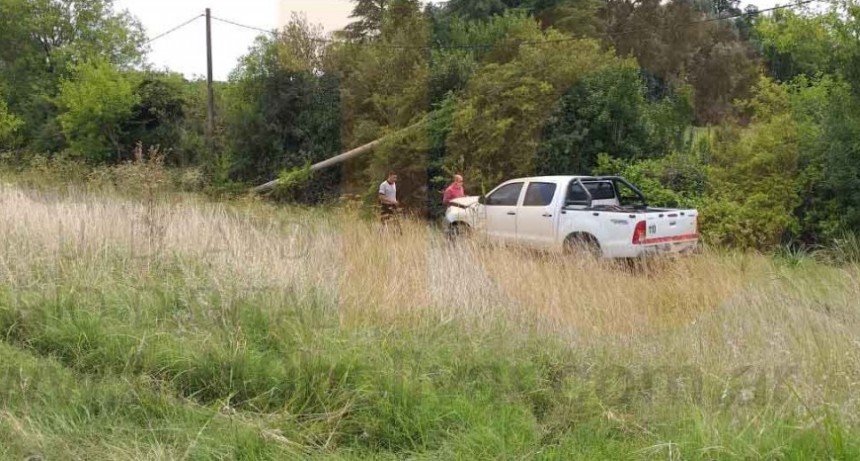 Despiste sin mayores consecuencias en Ruta 226 km 398