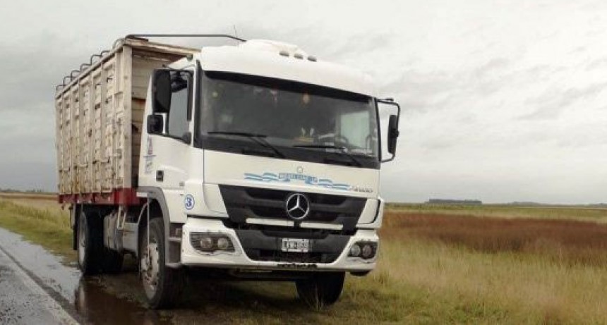 Gral. Alvear; Cami&oacute;n con vacunos sufri&oacute; un despiste en la Ruta Nacional N&deg; 205