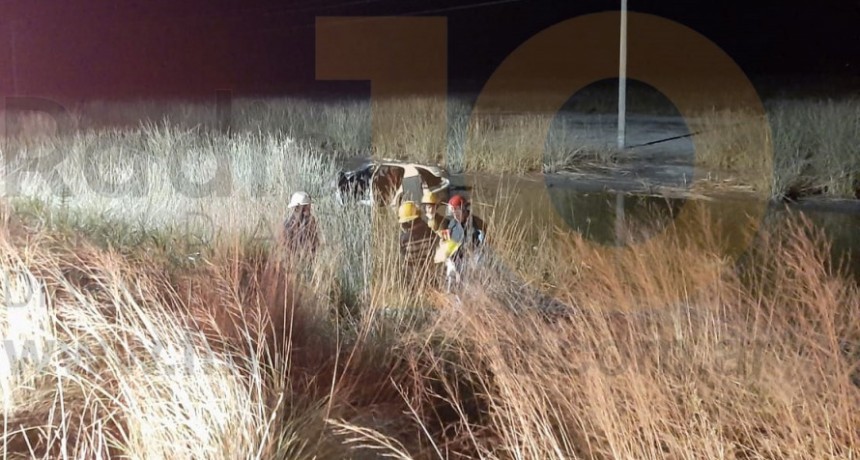 Un animal de gran porte provoc&oacute; un despiste y vuelco en Ruta 65 km 290