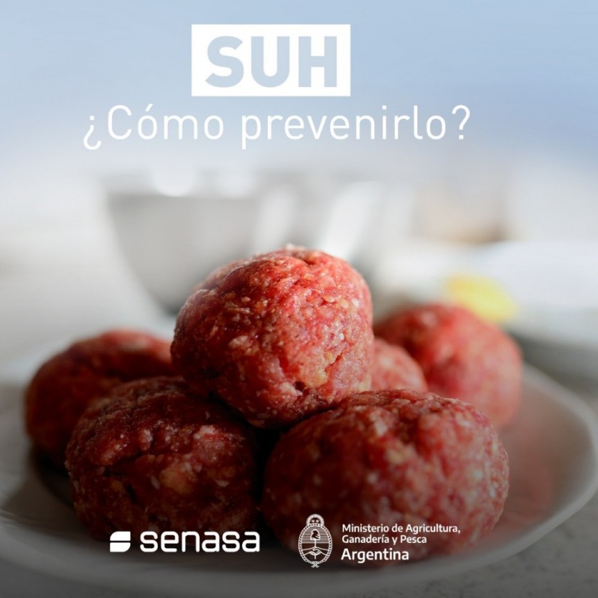 El S&iacute;ndrome Ur&eacute;mico Hemol&iacute;tico (SUH) es una enfermedad transmitida por los alimentos 