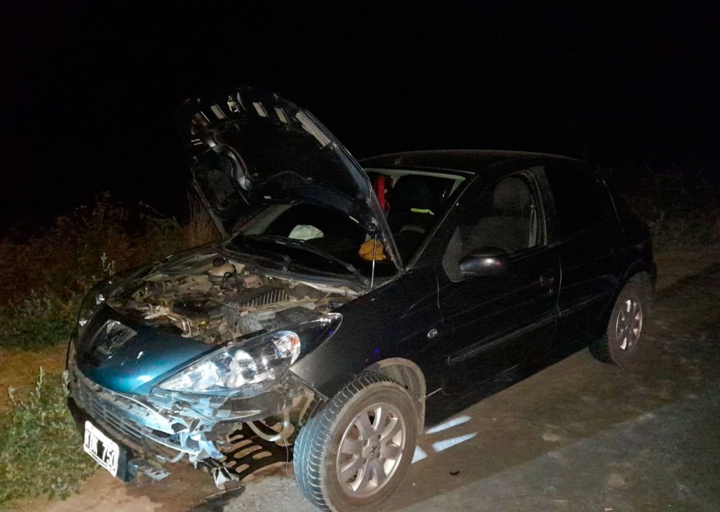 Ruta 205: Una familia impactó a un carpincho con su auto