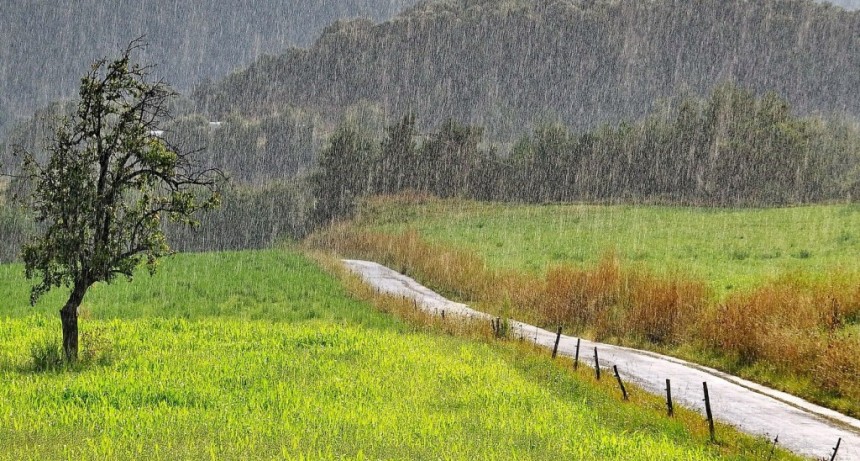 Finalmente llegó la lluvia, con registros muy desparejos en la zona