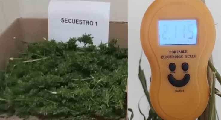 Información Oficial: La Policía de Bolívar secuestró más de dos kilos de Marihuana, tras un operativo y  posterior allanamiento