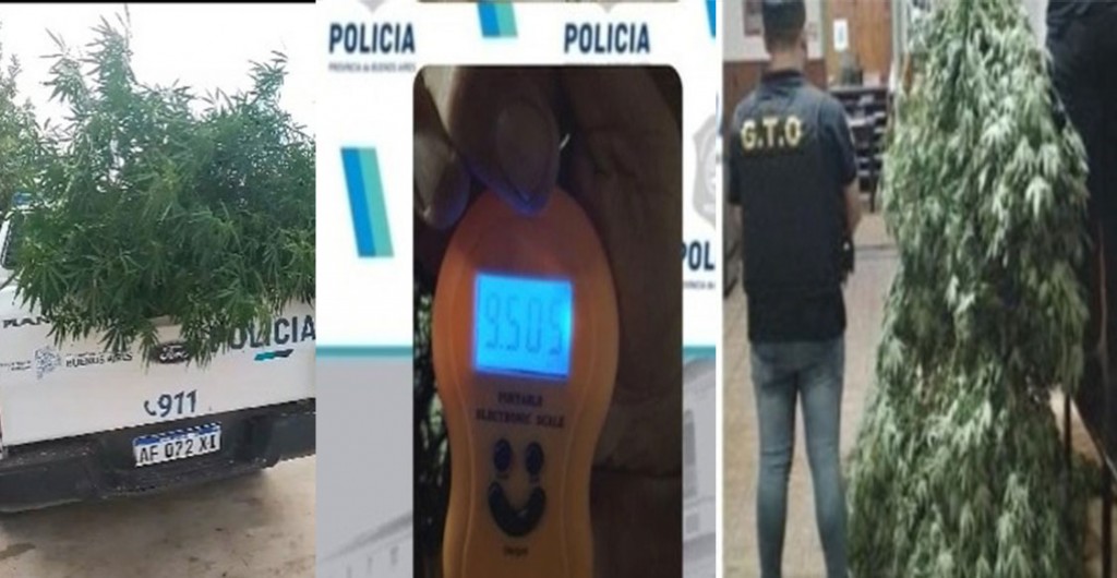 En un allanamiento por amenazas, la Policía secuestró gran cantidad de Marihuana