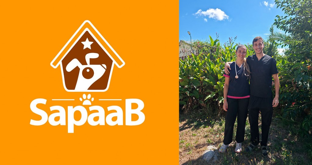 SAPAAB: Tres días de trabajo permitieron concretar 123 castraciones en la ciudad