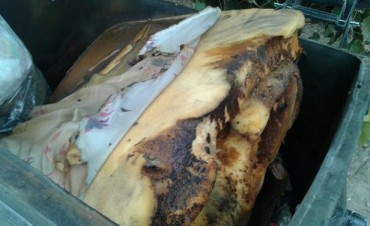 Incendio en un