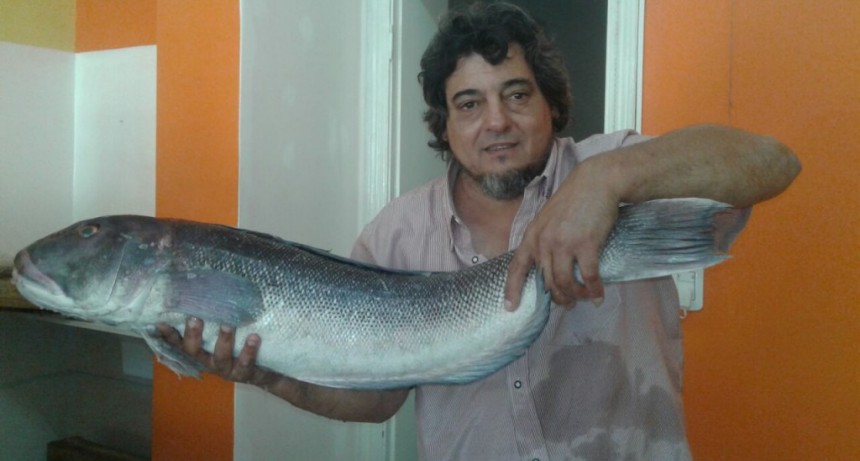 Se inaugur&oacute; la pescader&iacute;a El Sol en Avenida Belgrano