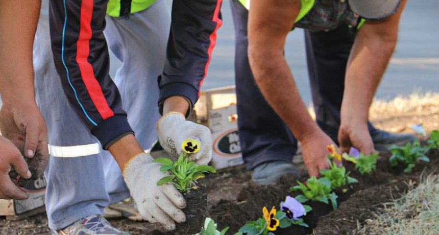 Paisajes y Paseos P&uacute;blicos: Se sigue avanzando en el &aacute;rea
