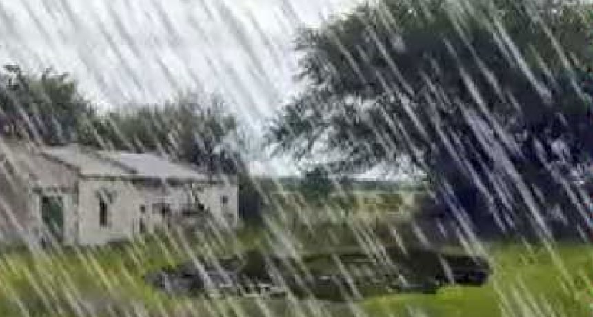 Registro de lluvias domingo 3; hasta 65 MM