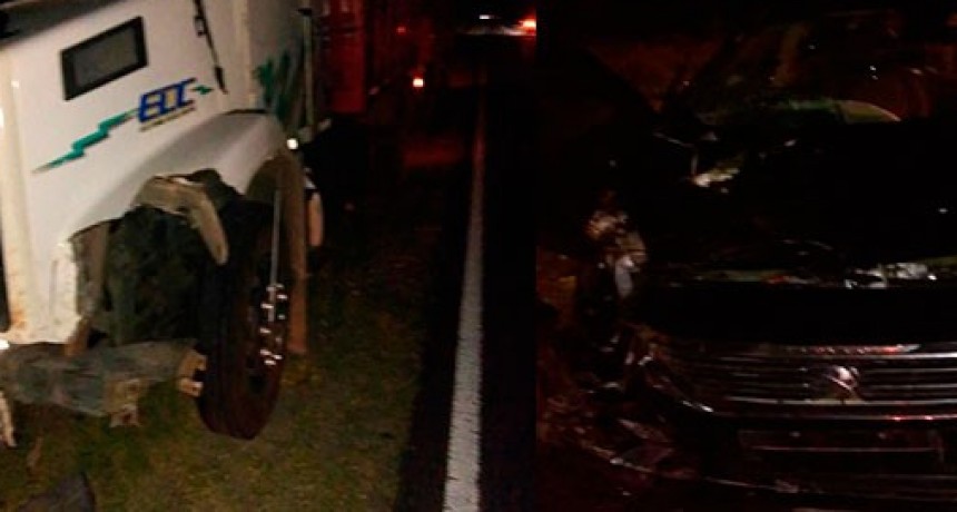 Un auto y un cami&oacute;n embistieron ocho terneros en ruta 226
