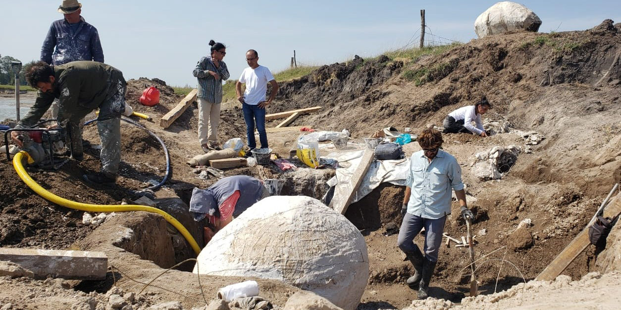 Marcos Pisano asisti&oacute; a la extracci&oacute;n de los glyptodontes
