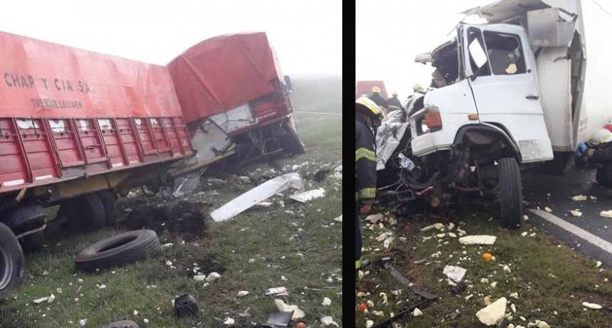 Un hombre fallecido es el saldo de un choque entre dos camiones en cercan&iacute;as de Nueve de Julio