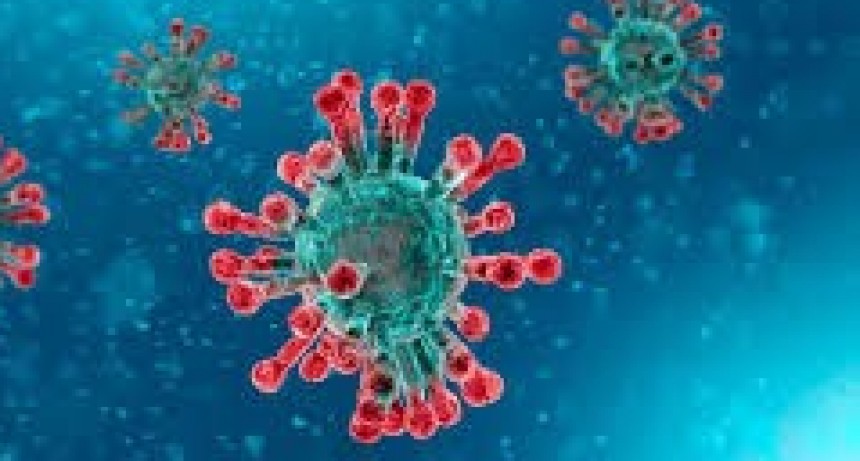 Chaco; Primer caso aut&oacute;ctono de coronavirus en Argentina