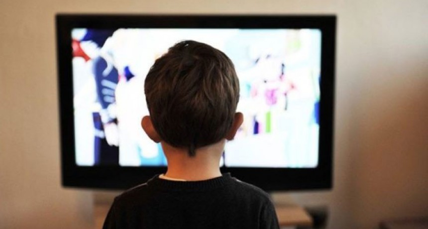 El Gobierno dispondr&aacute; cuatro horas de contenido educativo por la TV P&uacute;blica