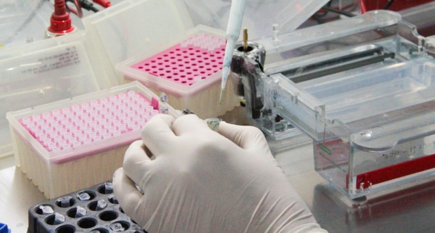 Coronavirus: Confirman 41 nuevos casos en Argentina e investigan uno de posible trasmisi&oacute;n comunitaria