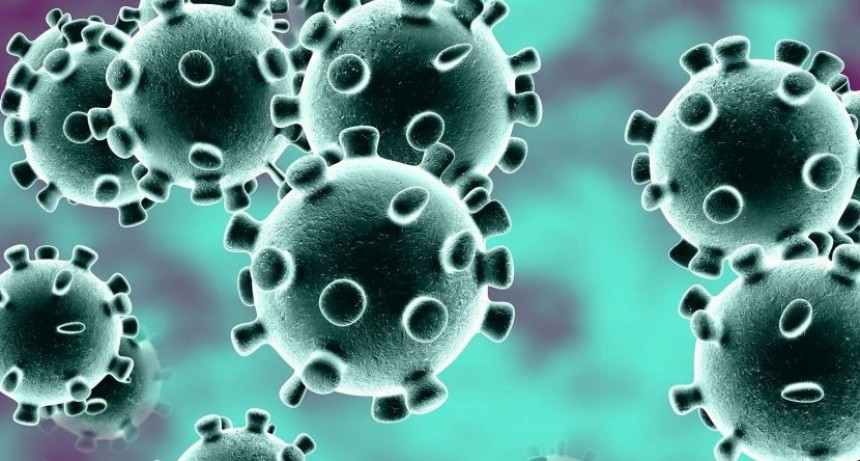 Se registraron 117 casos m&aacute;s de Coronavirus en el pa&iacute;s; El total es de 502