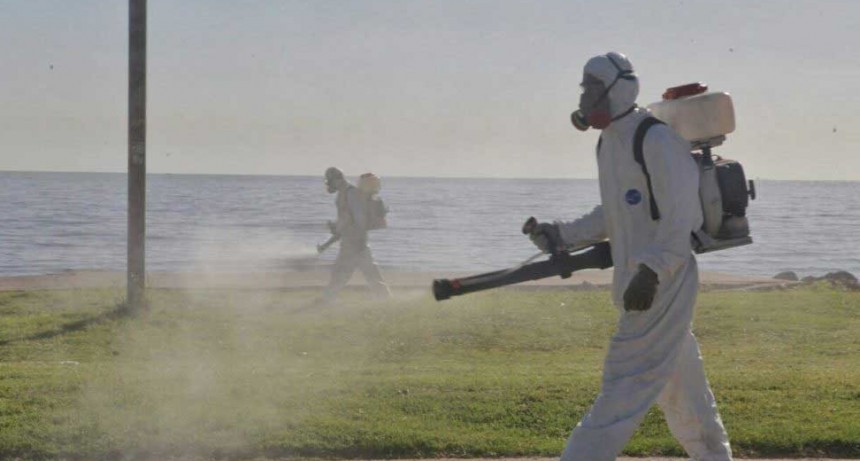 Se dispararon los casos de dengue en la provincia: son 633 y crecieron 73% en una semana