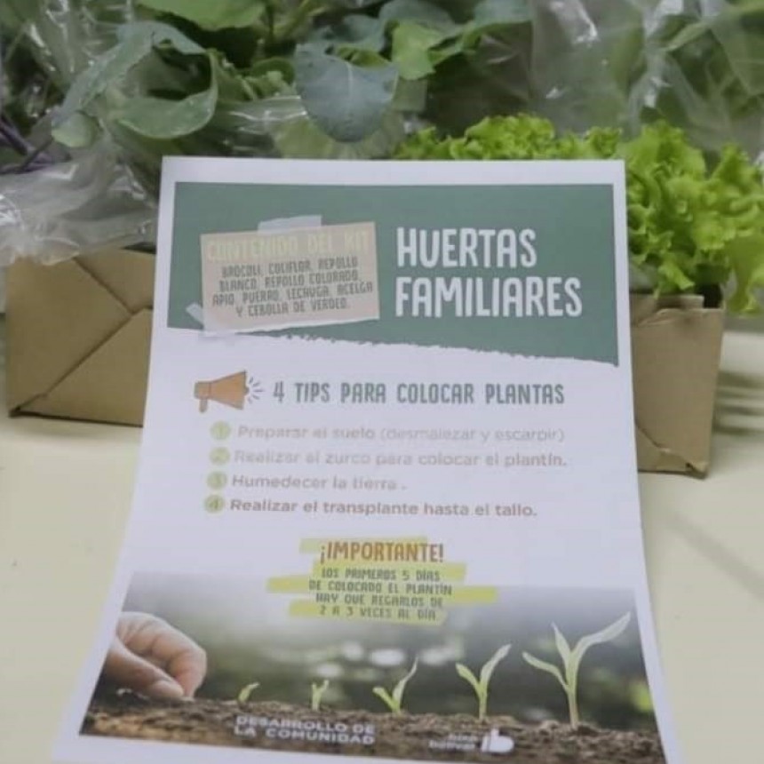 Econom&iacute;a social y solidaria: La secretaria de desarrollo de la comunidad acompa&ntilde;a el programa huertas familiares