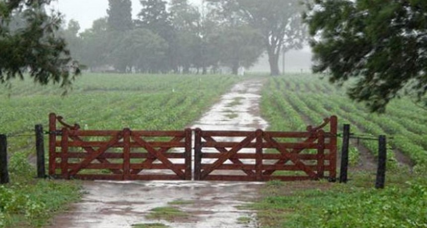Registros que van de 35 hasta más de 100 milímetros