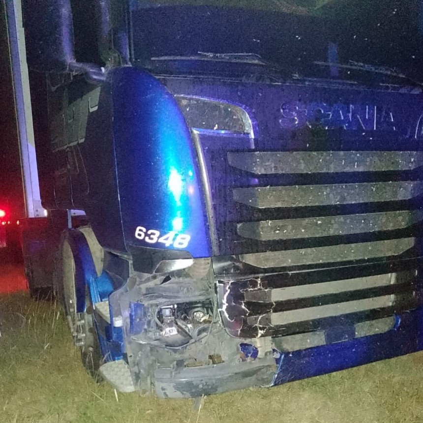 Ruta 205: Un camión impactó contra un vacuno que se encontraba sobre la cinta asfáltica