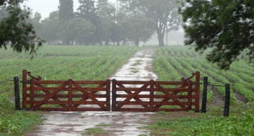 Lluvias irregulares en el partido de Bolívar