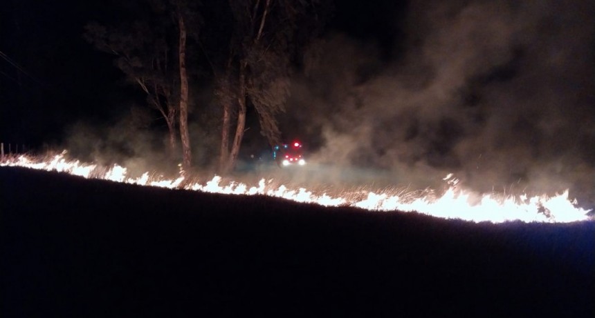 Ruta 65: Incendio de banquinas esta madrugada de sábado