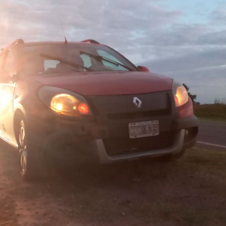 Otra vez un capincho en la ruta