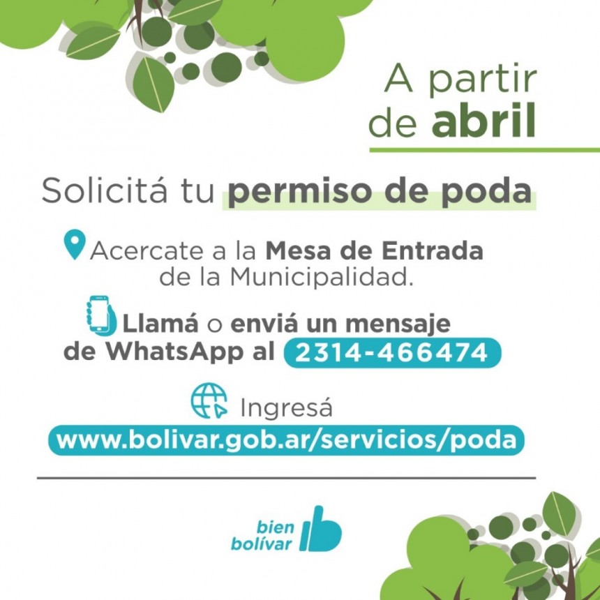 El Municipio iniciará tareas de poda del Arbolado Urbano