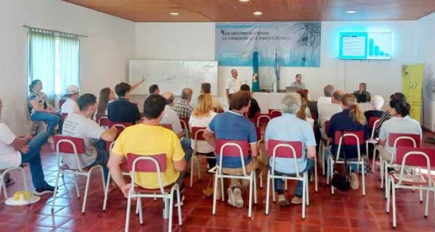 Encuentro en Genral Belgrano: Impulso a las oportunidades comerciales internacionales para el sector apícola