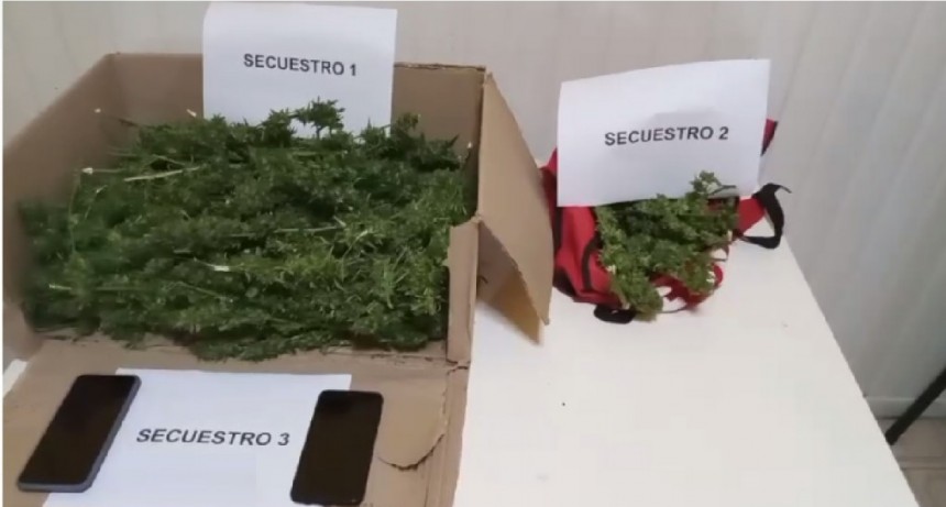 Parte Oficial de Comisaría de Bolívar: Una persona fue aprehendida, portando dos kilos y medio de Marihuana