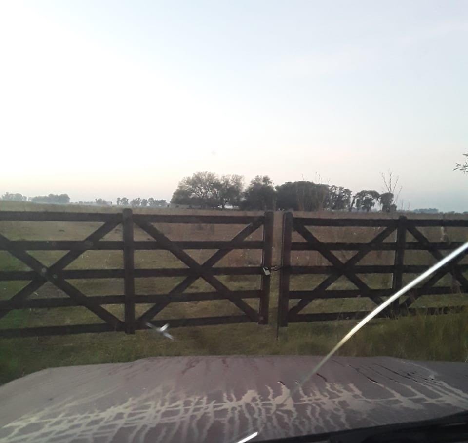 Sebasti&aacute;n Paganti: "Me faltaron del campo 4 terneros de 200 kilos y una vaca, los hemos buscado junto a la Polic&iacute;a, pero no aparecen"