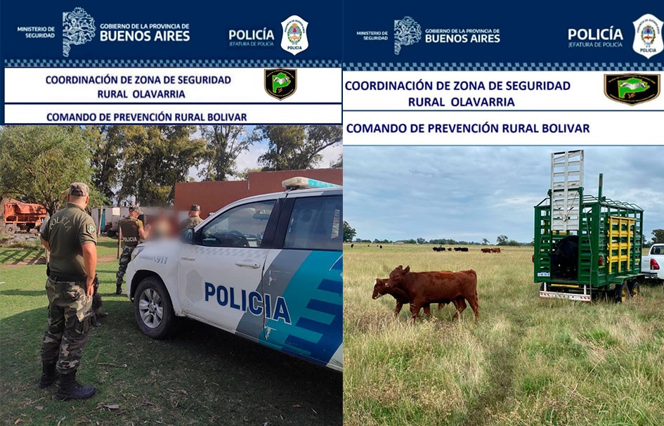 Informe Oficial Comando de Prevenci&oacute;n Rural Bol&iacute;var: Se recuperaron 4 terneros que faltaron de un campo en la Zona de La 140