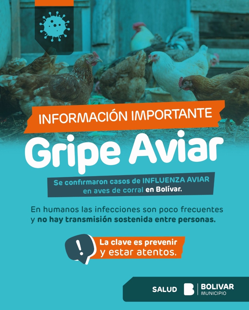 Confirman casos de Influenza Aviar en aves de corral en un establecimiento de Bol&iacute;var
